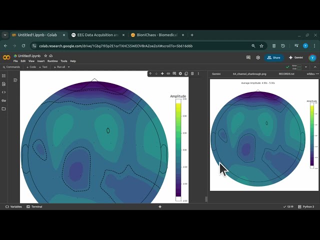 From Raw EEG to Animated Brain Maps: A Python Data Science Journey