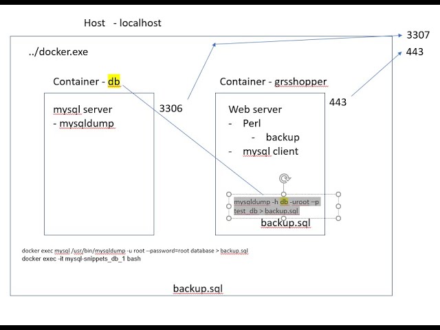 MySQL Database in Docker