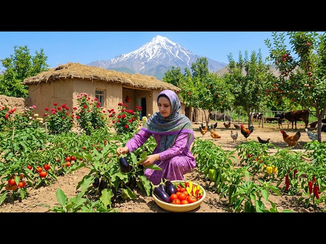 IRAN Daily Village Life : Rural Cooking in the High Mountains of Northern Iran