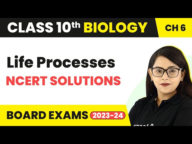 NCERT Solutions - Life Processes | Class 10th Biology
