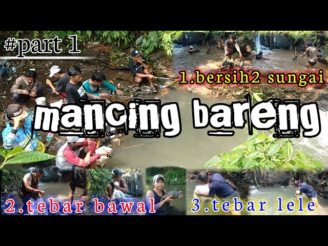 MANCING BARENG di Sungai || tebar bawal & lele !!  PART 1
