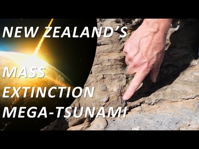 A Mega-Tsunami Deposit at the KT Boundary