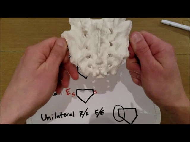 AOCPMR OMT: Walkthrough of Osteopathic Sacral Dysfunctions