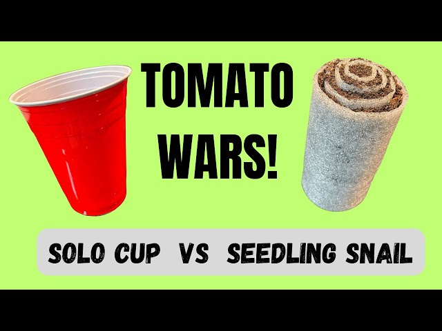 Solo Cup vs Seedling Snail - Which Method Actually Works Better?