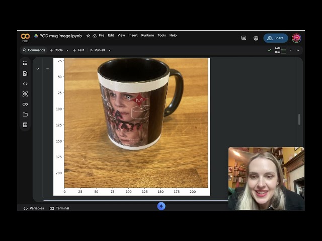 Hacking AI lab walkthrough: from Practical AI Security