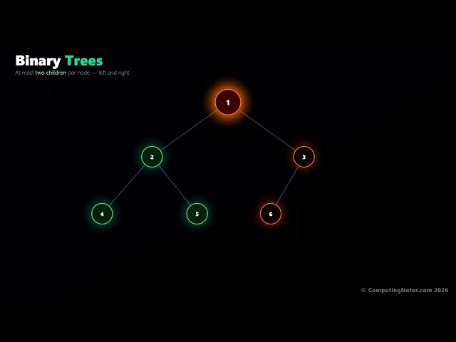 Tree Data Structures Explained | Basics, Binary Trees & Traversals