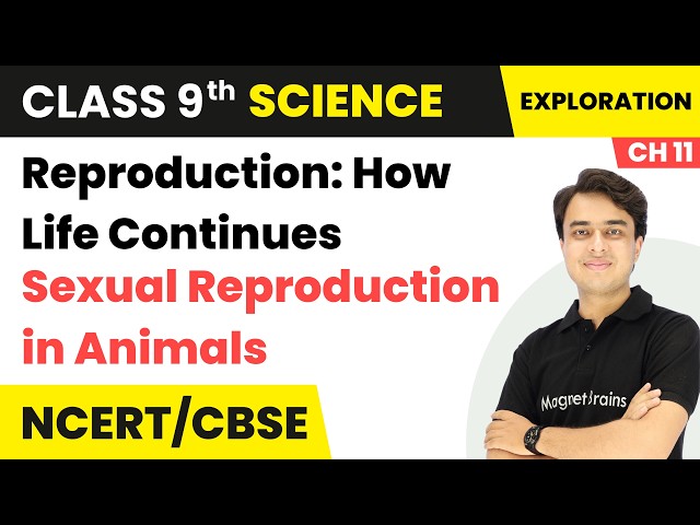 Sexual Reproduction in Animals - Reproduction: How Life Continues | Class 9th Science | Ch 11 | CBSE