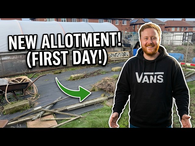 First Time Allotment Gardening | Building a Market Garden UK