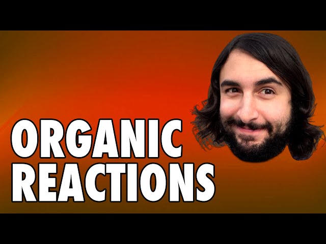 E2 Reaction