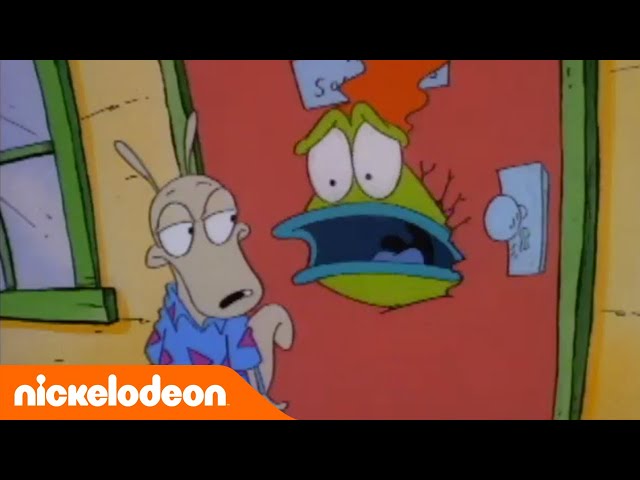 La Vida Moderna de Rocko: No tengo hijos - EPISODIO COMPLETO | Nickelodeon en Español