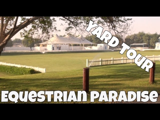 Dubai Yard Tour Vlog (Equestrian Paradise)