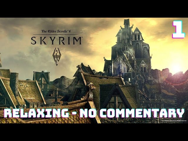 ASMR Skyrim Special Edition NO COMMENTARY Relaxing Gameplay Video - Fall Asleep to Skyrim Part 1