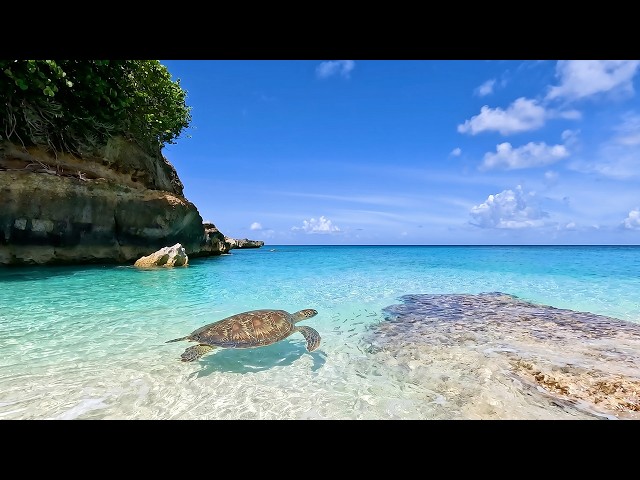 (No AI) 6 Hours of Beautiful Beach Ambience & Ocean Sounds Tranquility