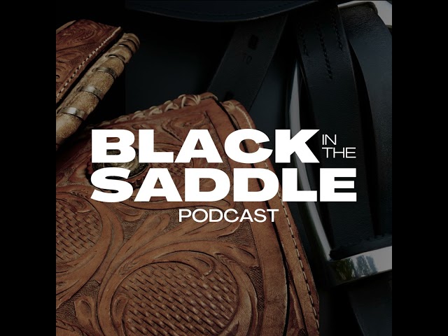 Preserving the Legacy of the Spanish Barb Horse with Tiombe Vaughan