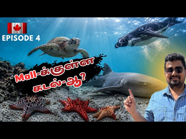 Is It Worth $15? 🤔 West Edmonton Mall Sea Life Review | Canada Tamil Family Vlog #36