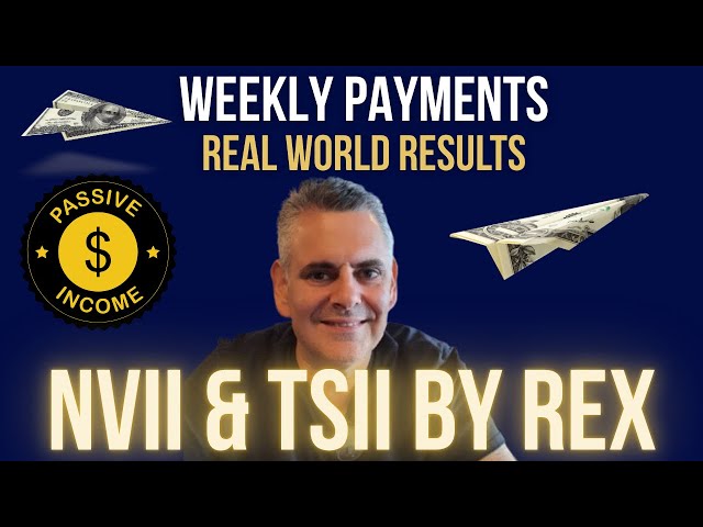 REX Shares NVII & TSII: My Real Numbers, Real Strategy