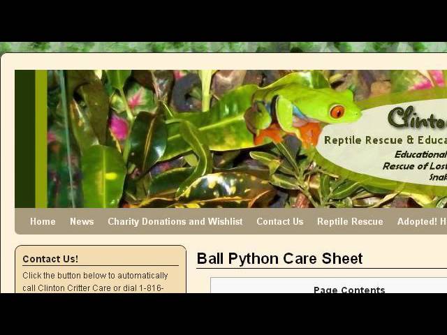 Lighting Requirements For Ball Pythons