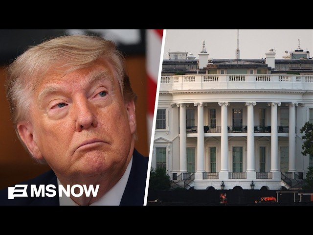 ‘NOBODY in the White House’ thinks Trump’s focus on vanity projects is good: NYT WH Correspondent