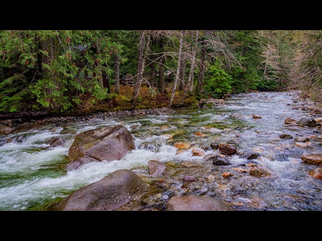Summer at Franklin Falls Trail 8K | Pure Nature & Relaxing Waterfall Sounds