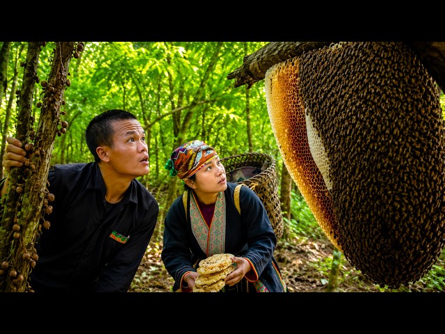 🐍 Dwarf Family Harvests a Giant Beehive While a Giant Python Climbs the Tree | Primitive Life
