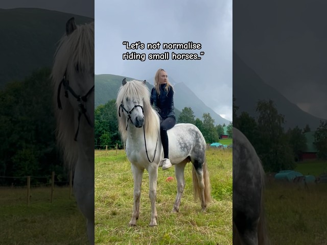 “Let’s not normalise riding small horses..” #horse #icelandichorse #horseriding #horses #equestrian