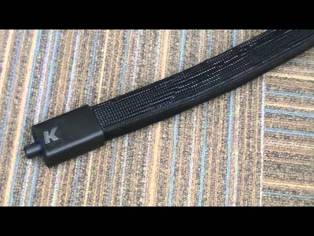 スネーク・スピーカー  K-array アナコンダ KAN200(1)