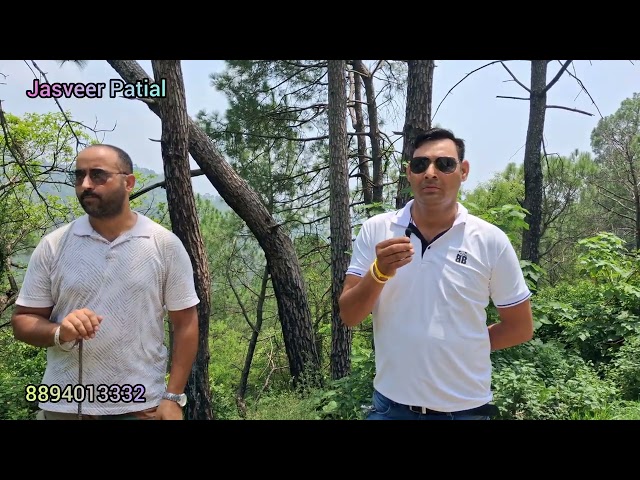 Dangerous #snake release in #forest #hamirpur #himachal #india #viral 