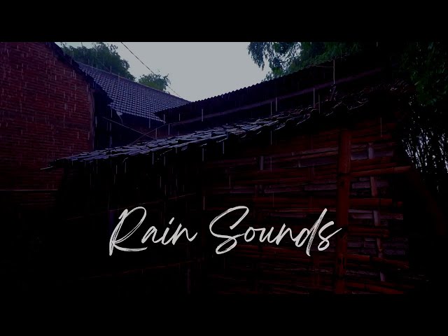 Relaxing Rain Sounds | Nature ASMR for Sleep, Stress Relief, Meditation ASMR and Relaxation