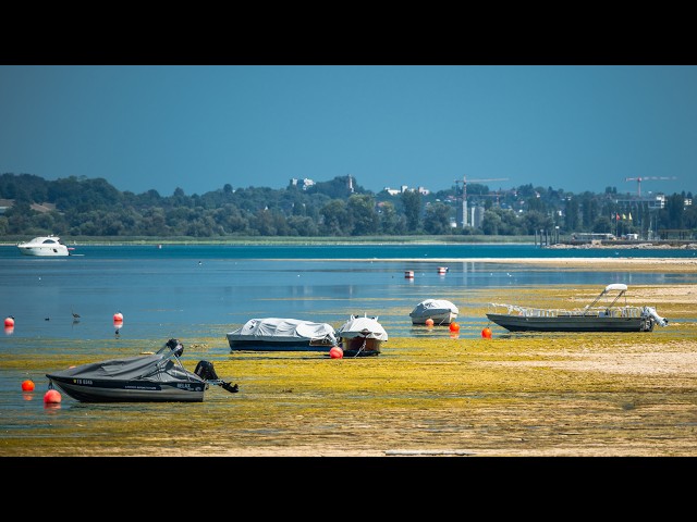 Switzerland’s Historic Drought Chokes the Rhine Falls and Lake Constance