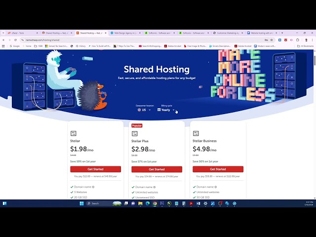 How to Purchase Domain and Hosting