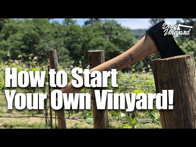 How To Start Your Own Vineyard | Season 1, Episode 1 | How You Can Start a Vineyard