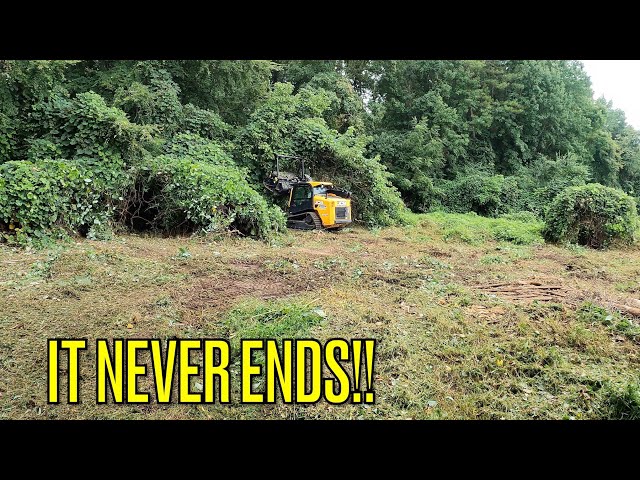 Forestry Mulching AN HOA KUDZU NIGHTMARE (Part 2) THICK & OVERGROWN MESS