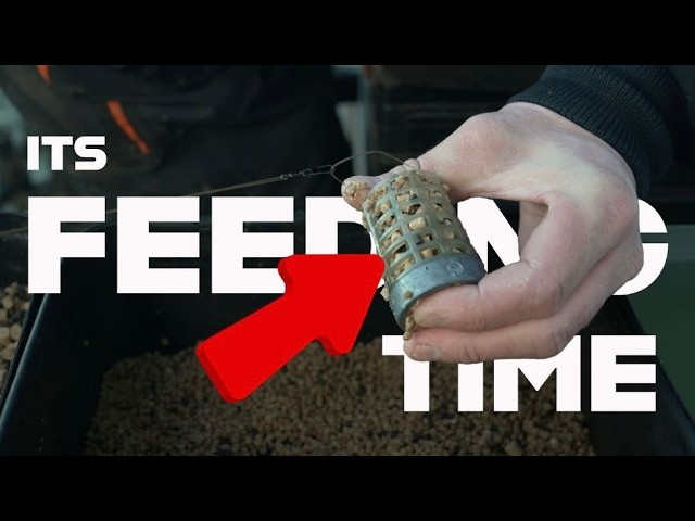 Are you feeding enough? Mainline Match Fishing TV -
