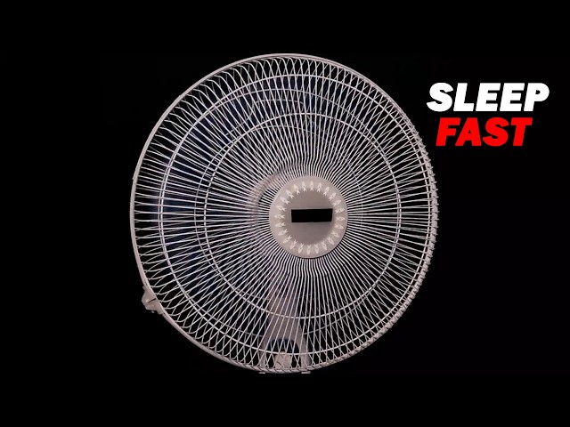 Fan Sound for Sleeping 😴 LIVE 24/7 | Fall Asleep Fast & Stay Asleep | Deep Sleep White Noise