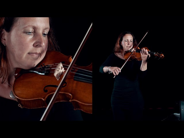 Die Bratsche (Viola)