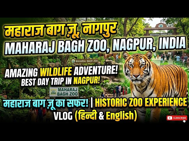 Maharaj Bagh Zoo Nagpur India. महाराजबाग प्राणीसंग्रहालय . महाराज बाग चिड़ियाघर नागपुर, भारत.