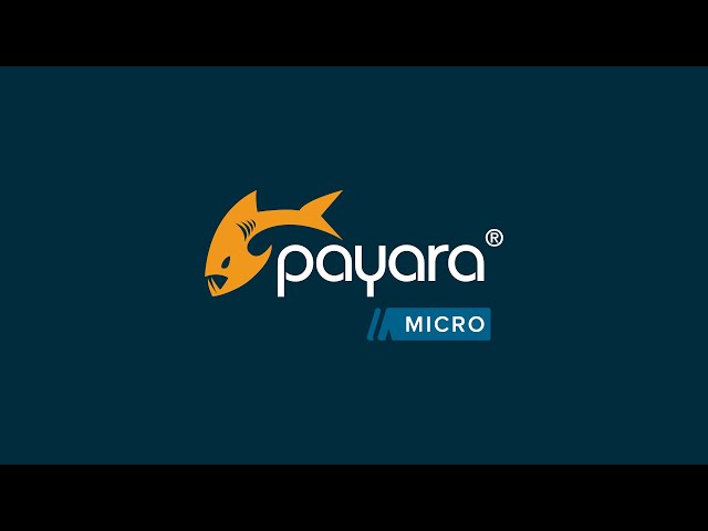What is Payara Micro?
