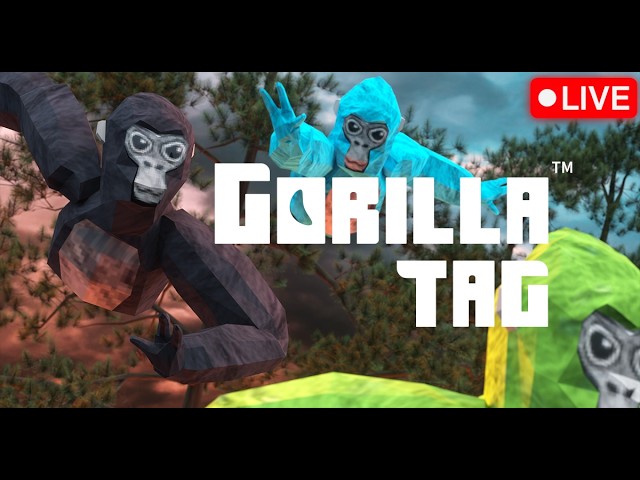 Gorrila tag