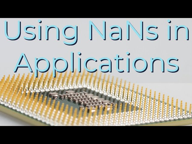 Intel Manual 33 Using NaNs In Applications