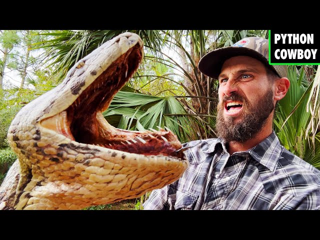 Bitten And Almost Eaten Alive By An Over 17 Foot Python