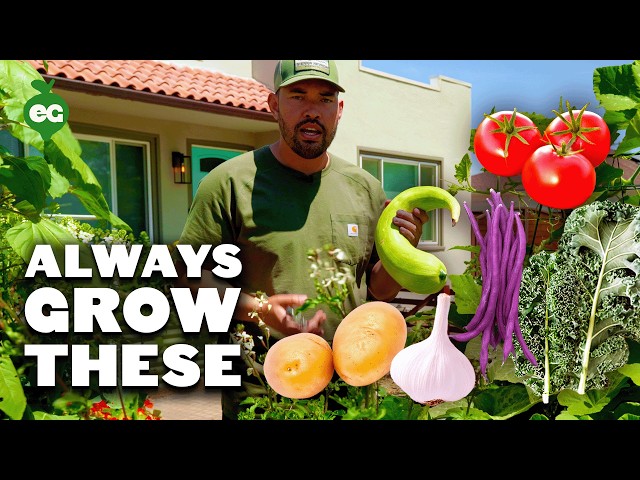 9 Plants You Should ALWAYS Grow