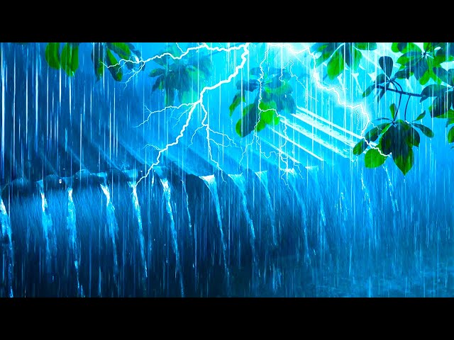 Beat Insomnia to Sleep Well with Torrential Rain, Insect Sounds and Rolling Thunder on a Metal Roof