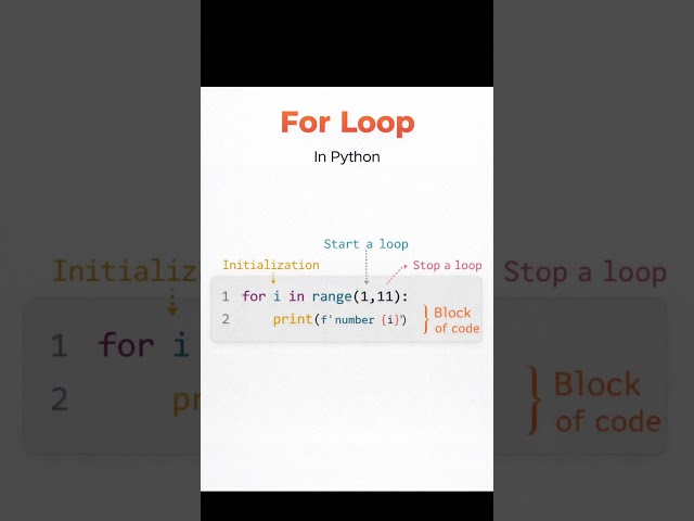 For Loop In Python