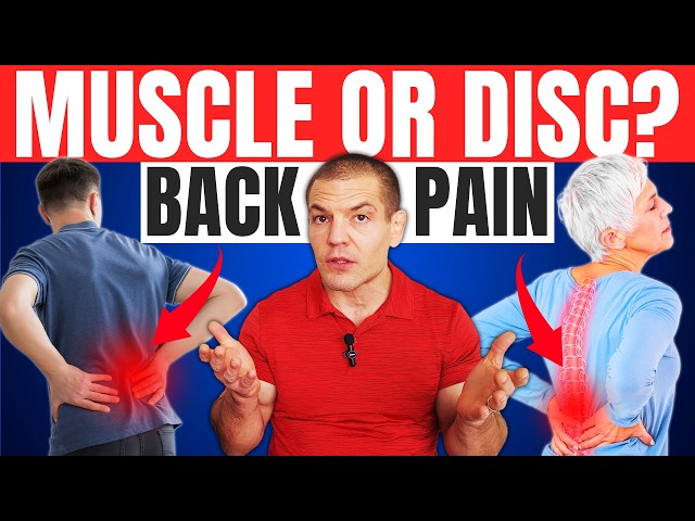 How Do You Know If Back Pain Is Muscle or Disc? How to Relieve It!
