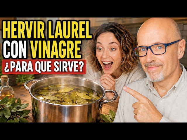 🍃 BOILING BAY LEAVES WITH VINEGAR: WHAT IS IT USED FOR? WHAT ARE THE BENEFITS? 🍃