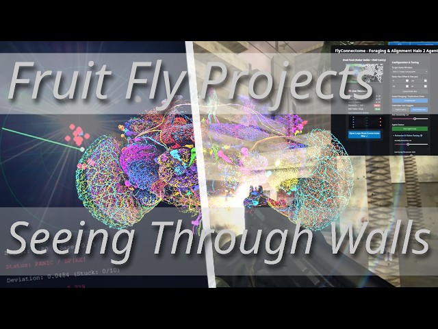 Fruit Fly Brain Simulation "Sees Through Walls Games And More"