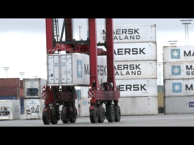 Introducing the reefer container