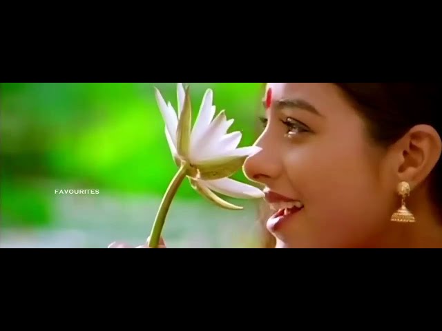 Maarikkoodinnullil - Kalapani Malayalam Movie - Mohanlal, Tabu