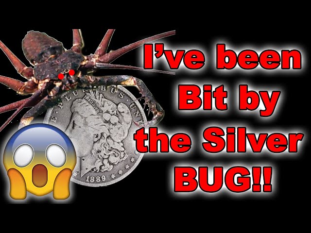 HALP! I've been Bit by the Silver Bug! #Silver #Coin #Coins #MailCall #Stacking