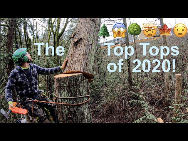 2020 Epic Tree Topping Compilation!!!